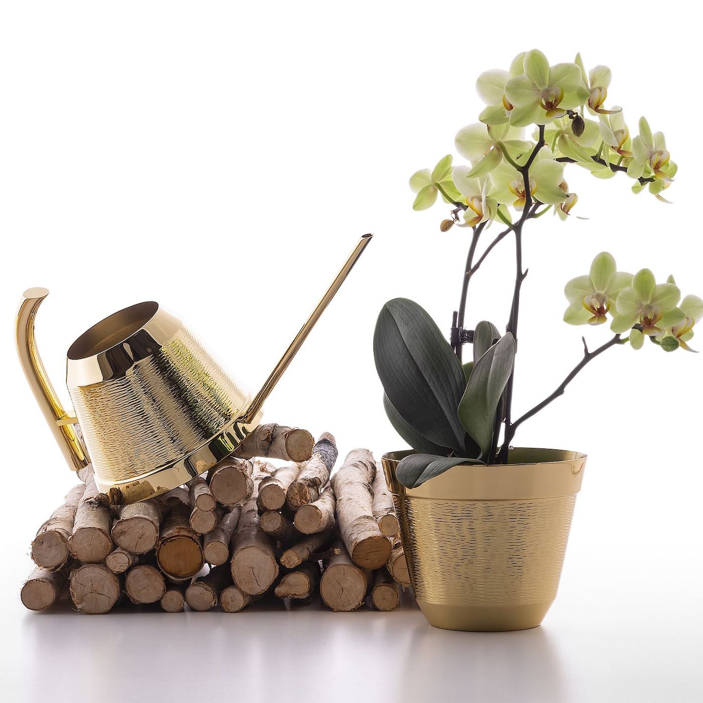 Ciccio Shiny Brass Watering Can by Zanetto | Handcrafted metal polished brass watering can with beeswax coating. | Gardening and Home Decor | 2Jour Concierge, your luxury lifestyle shop