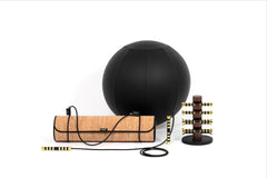 Aria Fitball with Removable Leather Cover