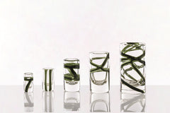 Cilindro Murano Glass Vase Apple Green