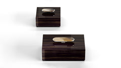Priora Glossy Ebony Box with Horn and Chromed Brass Handle Rectangular