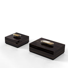 Priora Glossy Ebony Box with Horn and Chromed Brass Handle Square