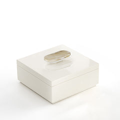 Priora Ivory Gloss Wood Box with Horn and Chromed Brass Handle Square