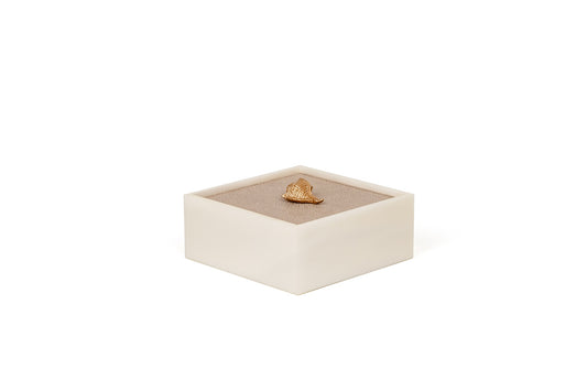 Bea Resin Box, Square With Lid and Leather Insert